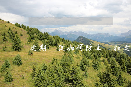 逾期還款如何防止劃扣(逾期扣款是怎么回事)