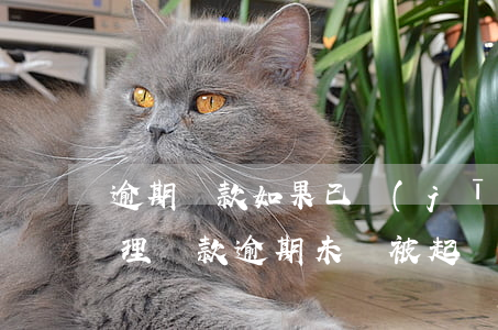逾期還款如果已經(jīng)起訴怎么處理(貸款逾期未還被起訴怎么辦)