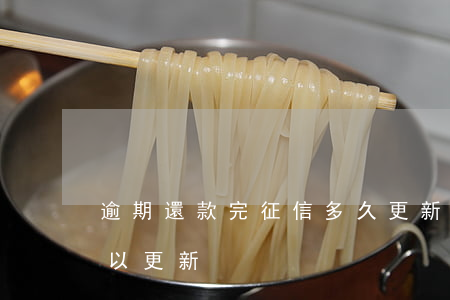 逾期還款完征信多久更新(已還款征信多久可以更新)