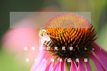 逾期還款完成會(huì)取消失信名單（信用卡逾期未還名單）