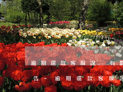 逾期還款客服說沒有影響征信報(bào)告-逾期還款客服說沒有影響征信報(bào)告是真的嗎