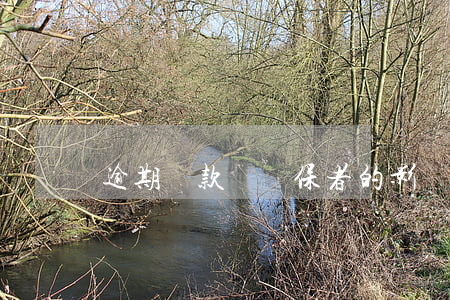 逾期還款對擔保者的影響