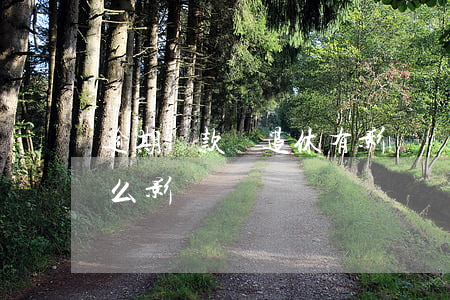逾期還款對退休有影響嗎(還款逾期以后有什么影響)