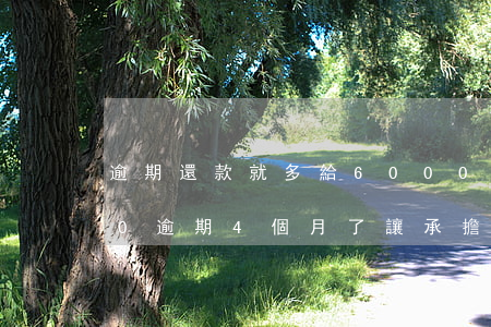 逾期還款就多給6000(支付寶欠款6000逾期4個月了讓承擔(dān)后果)