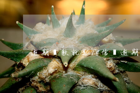 逾期還款就是征信嗎(逾期還款會上征信嗎)