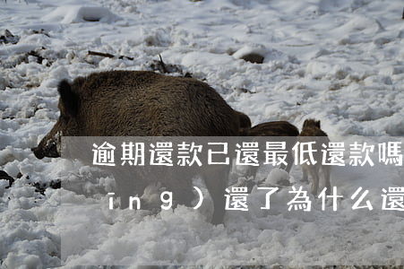 逾期還款已還最低還款嗎(最低還款已經(jīng)還了為什么還是逾期?)