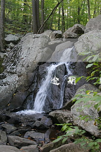 逾期還款幾天會怎么樣(經常逾期幾天后還清)