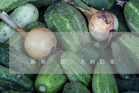 逾期還款幾天的后果