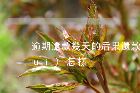 逾期還款幾天的后果(還款逾期了3 天會(huì)怎樣)
