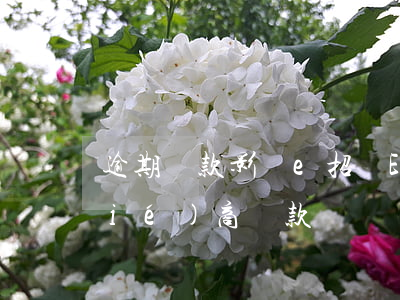 逾期還款影響e招貸(E招貸逾期怎么協(xié)商還款)