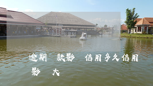 逾期還款影響信用多久(信用貸還款逾期幾天影響大嗎)