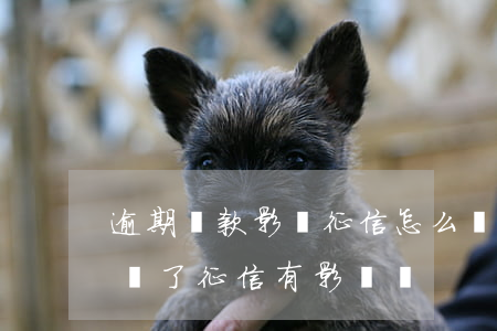 逾期還款影響征信怎么辦(銀行貸款逾期后來還了征信有影響嗎)