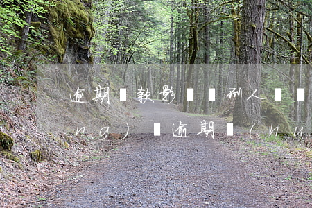 逾期還款影響緩刑人員嗎(緩刑期間網(wǎng)貸逾期會(huì)怎么樣)