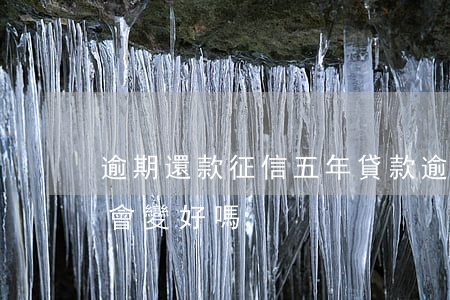 逾期還款征信五年(貸款逾期還清后五年,征信會變好嗎)