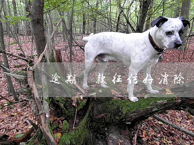 逾期還款征信好消除嗎(征信有逾期怎么還款)