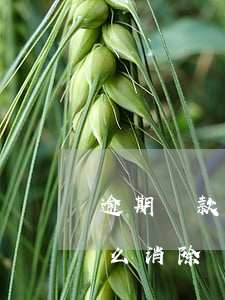 逾期還款征信怎么處理(貸款逾期上征信了怎么消除)
