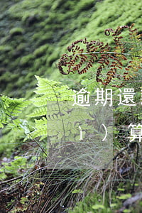逾期還款怎么收利息(逾期還款利息的計(jì)算方式及法律依據(jù))