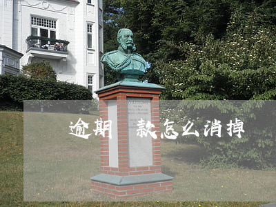 逾期還款怎么消掉記錄(怎么解除逾期記錄)