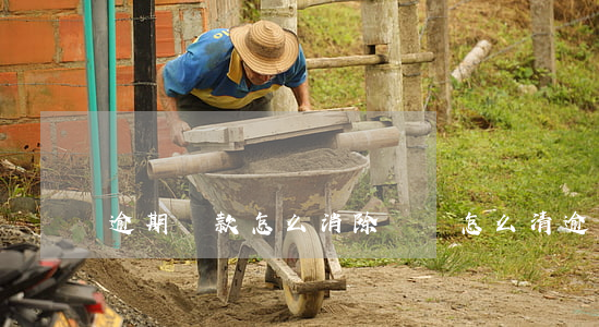 逾期還款怎么消除記錄(怎么清逾期記錄)