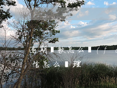 逾期還款怎么發(fā)信息(還款逾期后征信怎么處理)