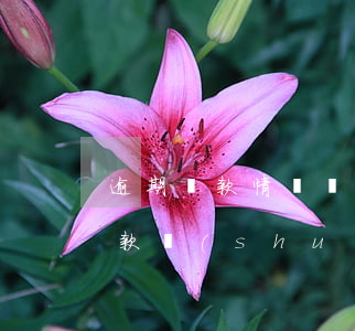 逾期還款情況說(shuō)明范本(逾期還款說(shuō)明怎么寫)