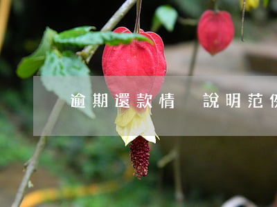 逾期還款情況說明范例(逾期貸款情況說明)
