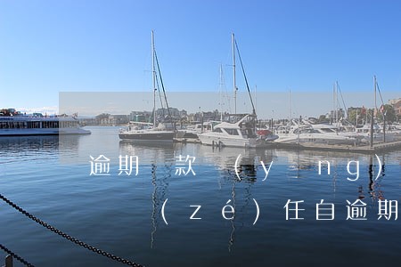 逾期還款應(yīng)承擔(dān)違約責(zé)任(自逾期還款之日起承擔(dān)逾期還款違約責(zé)任的)