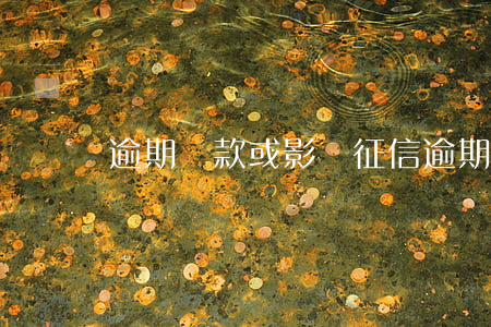 逾期還款或影響征信(逾期還款上征信有啥影響)