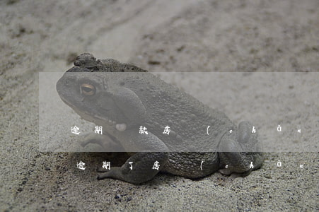 逾期還款房產(chǎn)證辦不下來(房貸逾期了房產(chǎn)證辦不了)