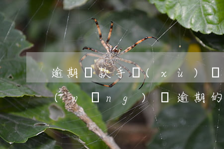 逾期還款手續(xù)費(fèi)是啥(網(wǎng)貸逾期的逾期費(fèi)用要還嗎?)