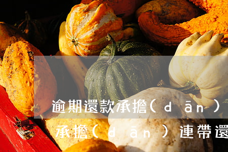 逾期還款承擔(dān)連帶責(zé)任(承擔(dān)連帶還款責(zé)任是什么意思)