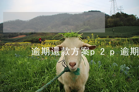 逾期還款方案p2p(逾期還款方式)