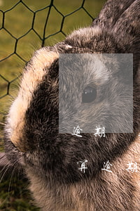 逾期還款日是什么意思(到期還款日還款算不算逾期)