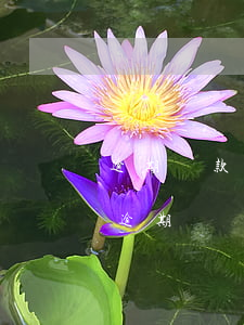 逾期還款日萬分之幾合法(超出還款日多久算逾期)