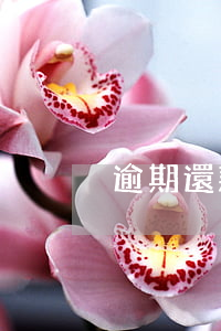 逾期還款是什么意思呢