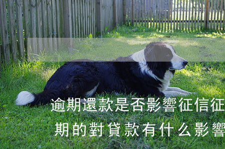 逾期還款是否影響征信(征信報告中有還款逾期的對貸款有什么影響)