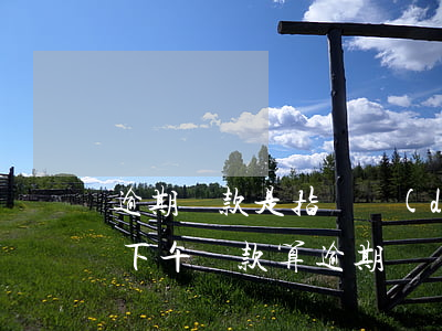 逾期還款是指幾點(diǎn)之前(還款日下午還款算逾期嗎)