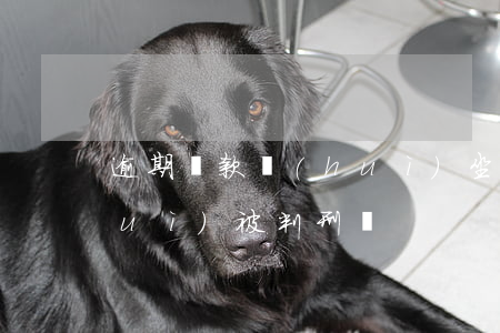 逾期還款會(huì)坐牢嗎-逾期會(huì)被判刑嗎