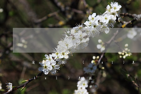 逾期還款會(huì)怎么樣(逾期還款會(huì)怎么樣)