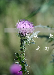 逾期還款會不會影響孩子考公務(wù)員-逾期還款會不會影響孩子考公務(wù)員政審