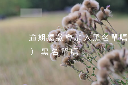 逾期還款會加入黑名單嗎(逾期會進(jìn)黑名單嗎)