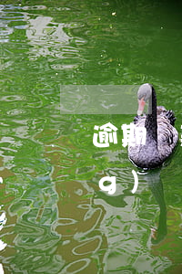 逾期還款會在征信記錄上(貸款已經(jīng)還清為什么個人征信上還有逾期)