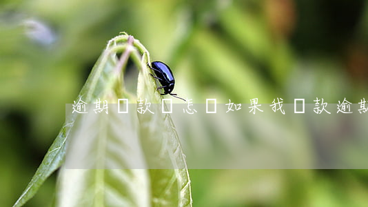 逾期還款會怎樣(如果我還款逾期了會怎么樣)