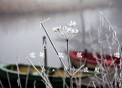 逾期還款會被凍結嗎(逾期凍結了還完可以繼續(xù)使用嗎)