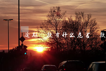 逾期還款有什么危害(還款逾期以后有什么影響)