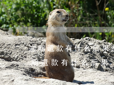 逾期還款有什么后果(連續(xù)三個月逾期還款有什么后果)