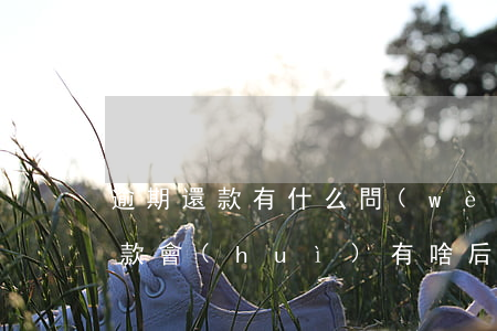 逾期還款有什么問(wèn)題(總是逾期還款,會(huì)有啥后果)