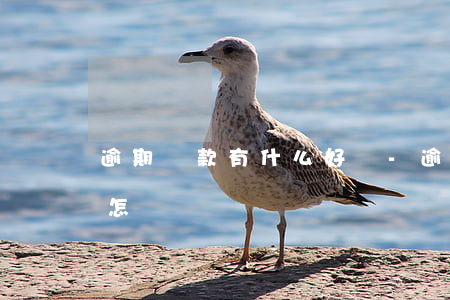 逾期還款有什么好處-逾期還貸款的后果是怎樣
