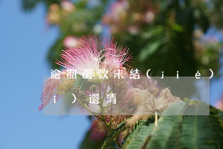 逾期還款未結(jié)清-逾期沒(méi)還清