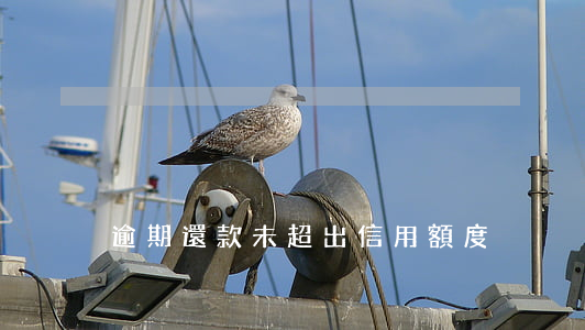 逾期還款未超出信用額度